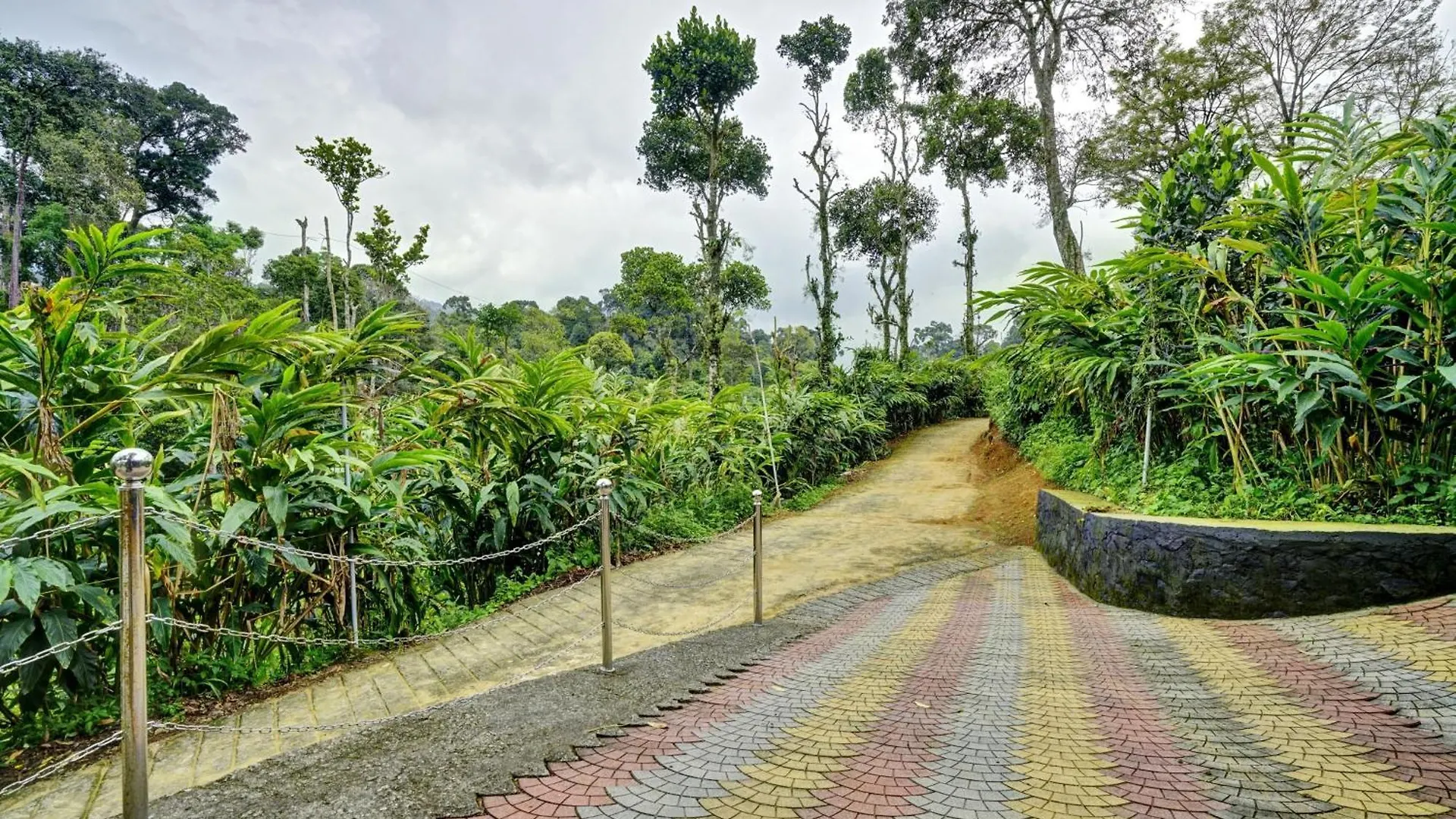 *** Hotel Collection O Kunchithanny Road Munnar Formerly Indeevaram Resort Anachal India