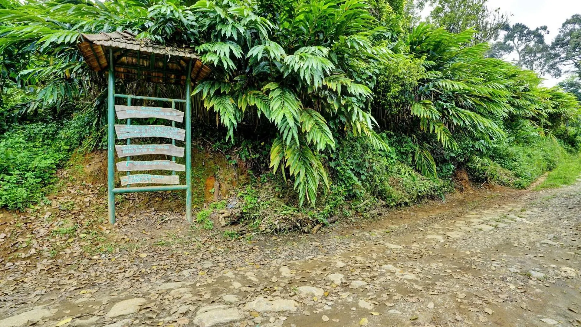 Collection O Kunchithanny Road Munnar Formerly Indeevaram Resort Anachal